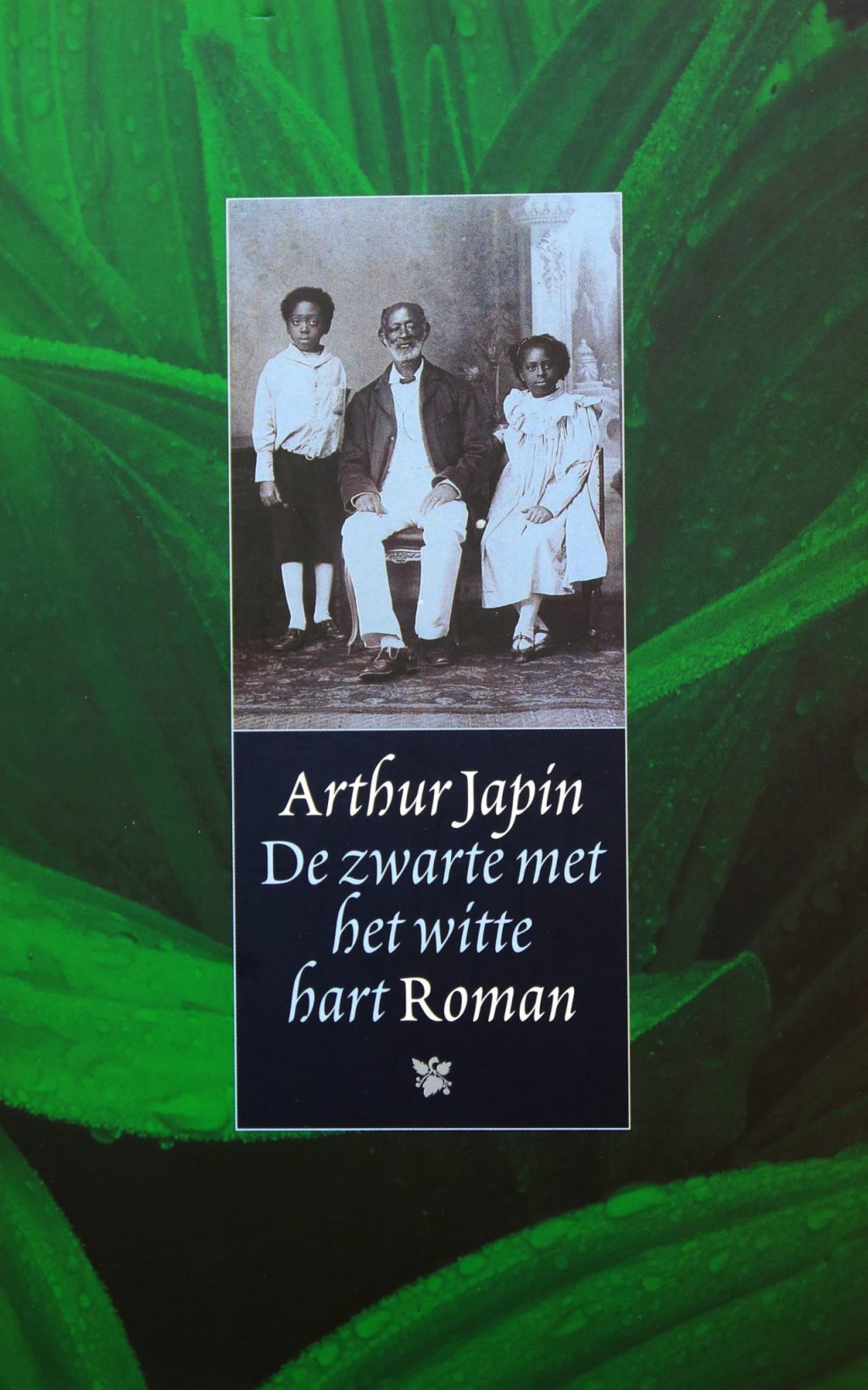 Arthur Japin, De zwarte met het witte hart (1994, 1e druk) (bibliotheek)